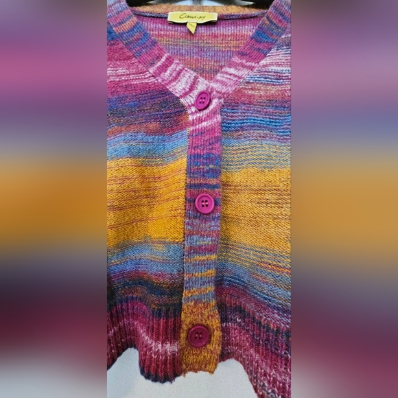 Circus NY Cardigan Sweater Button Long Sleeve Variable Colors Size L - Picture 2 of 9